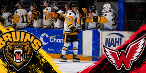 Bruins Split Weekend Series With Wings Article Photo